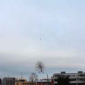 Baum fällen mit Helikopter - Blumen Mischler GmbH